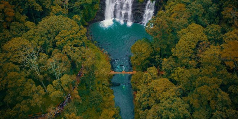 Coorg-4_1000x800 Coorg-4_1000x800