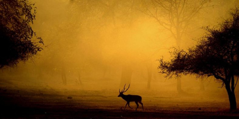 Mount-Kailash-and-Lake-Manasarovar-tour-1 Mount-Kailash-and-Lake-Manasarovar-tour-1