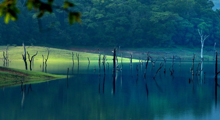 Thekkady_-www-greatindiantours-com Thekkady_-www-greatindiantours-com