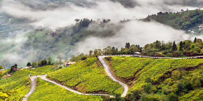 TravelFree.in_Darjeeling_ntvqsq TravelFree.in_Darjeeling_ntvqsq