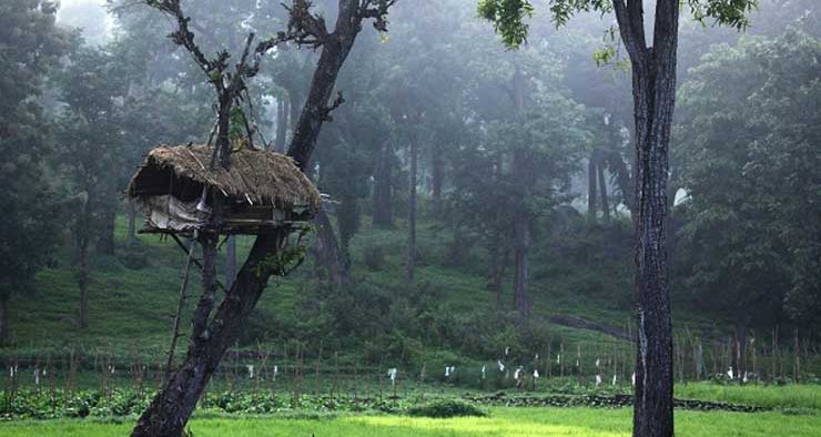 Romario, Brazil, celebrates 1st goal against Cameroon