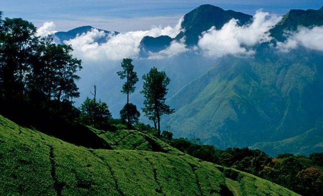 f-tamil-1_647_091715023748 f-tamil-1_647_091715023748