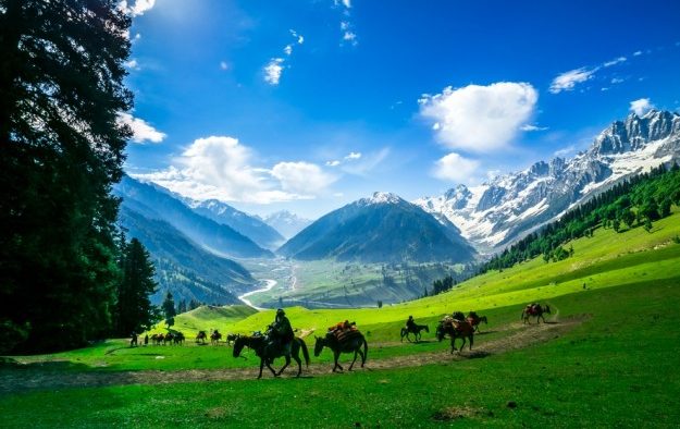 kashmir-sonmarg-625x470