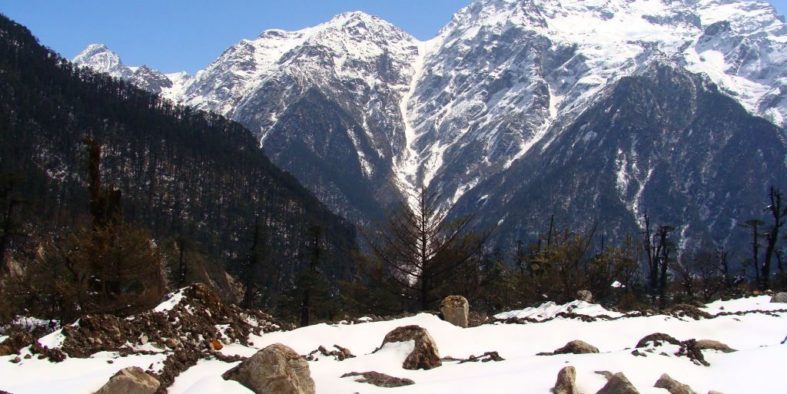 shareiq_1332595429.946549 shareiq_1332595429.946549