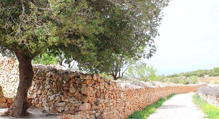 1-Ajloun-Castle-to-Khirbet-Alsouq1 1-Ajloun-Castle-to-Khirbet-Alsouq1